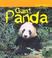 Cover of: Giant Panda (Animals in Danger)