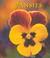 Cover of: Pansies