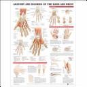 Cover of: Anatomy And Injuries of the Hand And Wrist