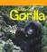 Cover of: Mountain Gorilla (Animals in Danger)