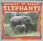 Cover of: Elephants (Martin, Louise, Wildlife in Danger.)