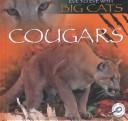 Cover of: Cougars (Cooper, Jason, Eye to Eye With Big Cats.)