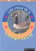 Cover of: Canada Goose (Life Cycles)