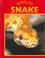 Cover of: Snake (Caring for Your Pet)