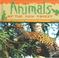 Cover of: Animals Of The Rain Forest (O'Hare, Ted, Rain Forests Today)