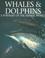 Cover of: Whales and Dolphins