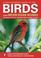 Cover of: A photographic guide to birds of the Indian Ocean Islands