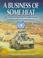 Cover of: BUSINESS OF SOME HEAT: THE UNITED NATIONS FORCE IN CYPRUS BEFORE AND DURING THE 1974 TURKISH INVASION.