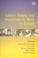 Cover of: LABOUR SUPPLY AND INCENTIVES TO WORK IN EUROPE; ED. BY RAMON GOMEZ-SALVADOR.