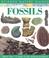 Cover of: Fossils (Science Nature Guides)
