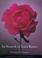 Cover of: In Search of Lost Roses