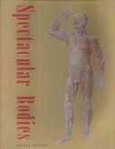 Cover of: Spectacular bodies: the art and science of the human body from Leonardo to now