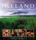 Cover of: Savoring Ireland