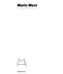 Cover of: Mario Merz by Danilo Eccher