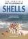 Cover of: The Complete Encyclopedia Of Shells