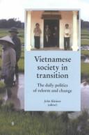 Cover of: Vietnamese society in transition: the daily politics of reform and change