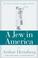 Cover of: A Jew in America