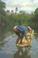 Cover of: Halmahera and Beyond