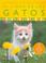 Cover of: El libro de los gatos/The Book of Cats