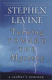 Cover of: Turning toward the mystery: a seeker's life