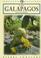 Cover of: Galapagos Islands (Odyssey Illustrated Guides)
