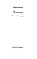 Cover of: Il vulcano: scritti critici e visionari