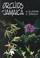 Cover of: Orchids of Jamaica