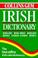 Cover of: Irish dictionary