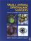 Cover of: Small Animal Ophthalmic Surgery