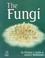 Cover of: The Fungi