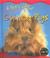 Cover of: A Pet's Life Guinea Pigs