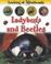 Cover of: Ladybugs and Beetles (Morgan, Sally. Looking at Minibeasts.)