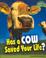 Cover of: Has a Cow Saved Your Life? (Raintree Fusion: Life Science)