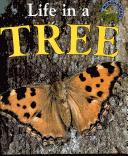 Cover of: Life in a Tree (Microhabitats) by Clare Oliver