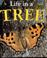 Cover of: Life in a Tree (Microhabitats)