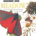 Cover of: Meadow (Look Closer (Dorling Kindersley Paperback)) | Barbara Taylor