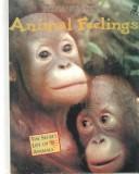 Cover of: Animal Feelings by 