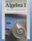 Cover of: Merrill Algebra 1