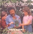 Cover of: Looking at Plants