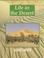 Cover of: Life in the Desert (Earth Awareness)