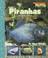 Cover of: Piranhas and Other Fish