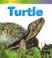 Cover of: Life Cycle of a Turtle