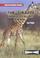 Cover of: The Giraffe
