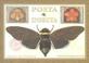 Cover of: Posta Insecta - Postcard Book