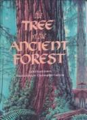 The tree in the ancient forest by Carol Reed-Jones