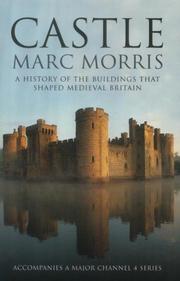 Cover of: Castle by Marc Morris