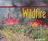 Cover of: Wildfire (Nature in Action)