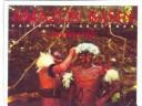 Cover of: Amazon Basin: Vanishing Cultures (Vanishing Cultures Series)