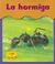 Cover of: La Hormiga/ants (Bajo Mis Pies / Under My Feet)