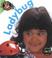 Cover of: Ladybug (Bug Books)